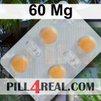 60 Mg 511
