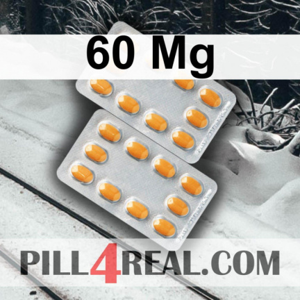 60 Mg 637