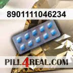 8901111046234 106