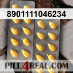 8901111046234 404