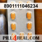 8901111046234 624