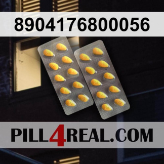 8904176800056 091