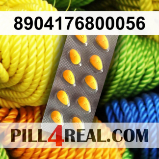 8904176800056 230