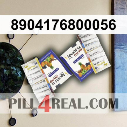 8904176800056 866