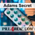Adams Secret 076