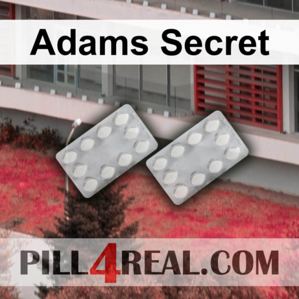 Adams Secret 139