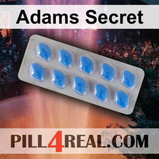 Adams Secret 194