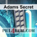 Adams Secret 240