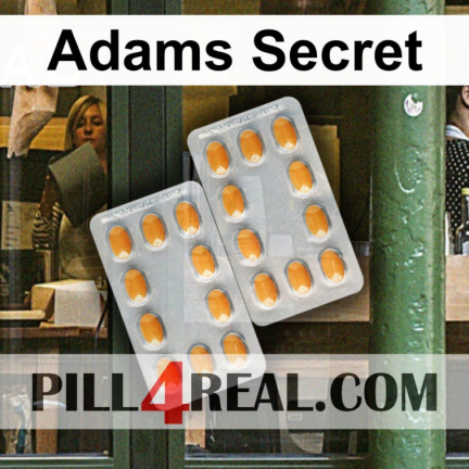 Adams Secret 397
