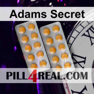 Adams Secret 408
