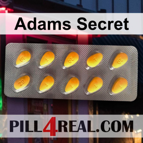 Adams Secret 431