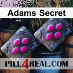 Adams Secret 436
