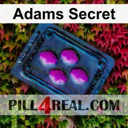 Adams Secret 448