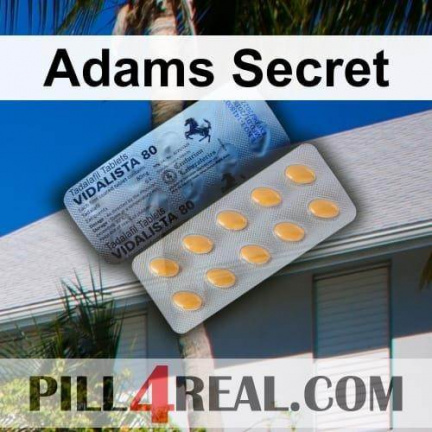Adams Secret 468