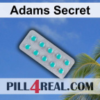 Adams Secret 527