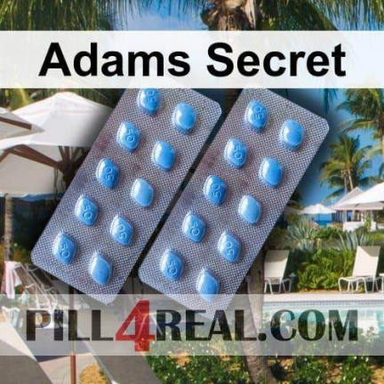 Adams Secret 559