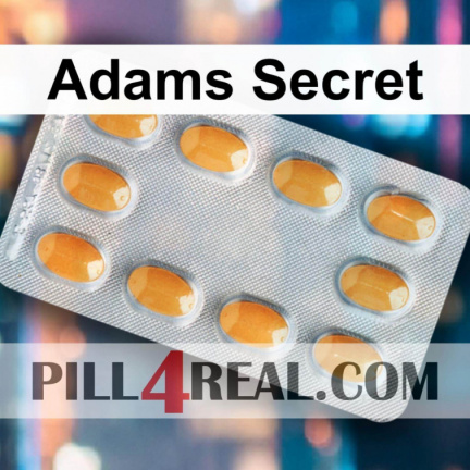 Adams Secret 563
