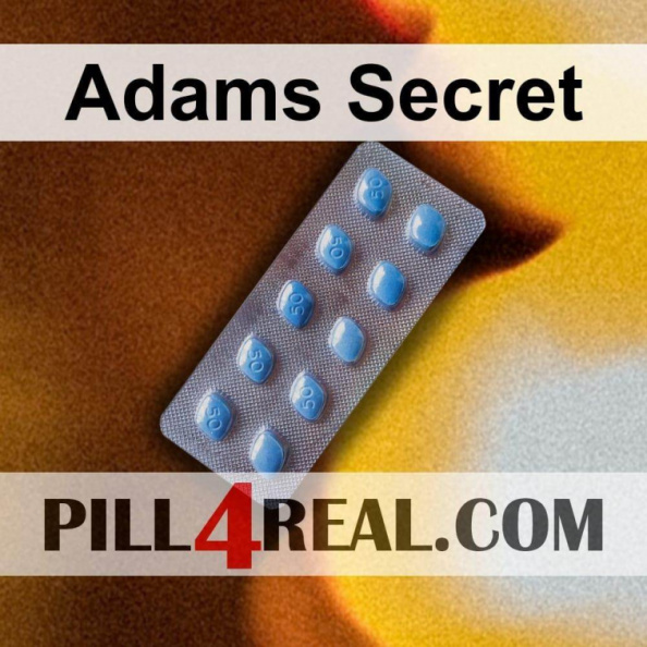 Adams Secret 578