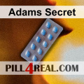 Adams Secret 578