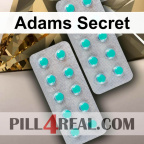Adams Secret 679
