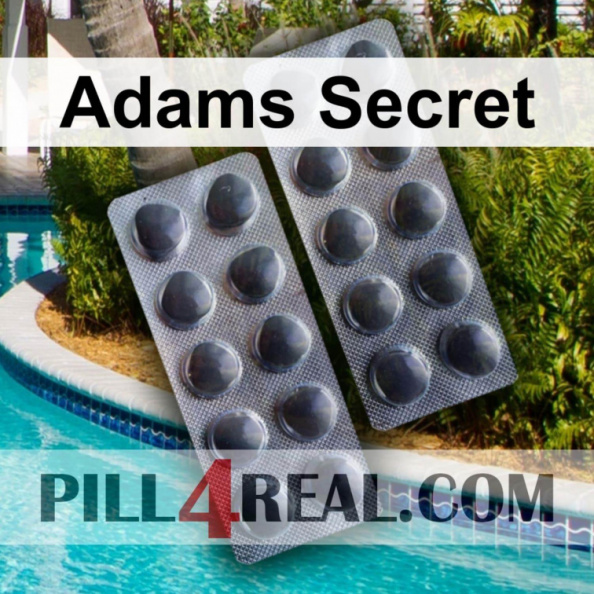 Adams Secret 684