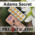 Adams Secret 884