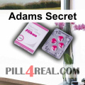 Adams Secret 888