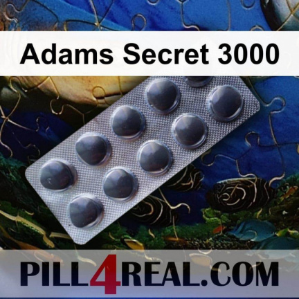 Adams Secret 3000 104