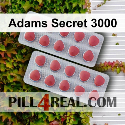 Adams Secret 3000 463