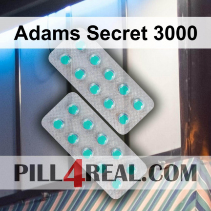 Adams Secret 3000 494