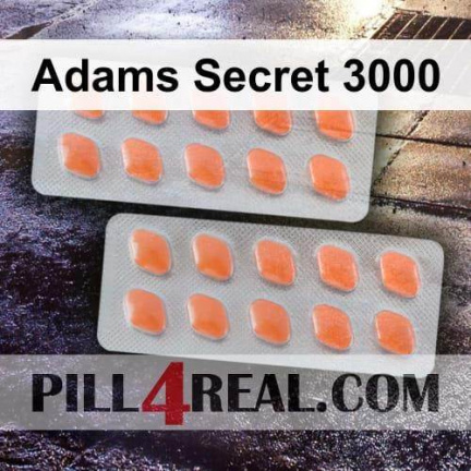 Adams Secret 3000 646