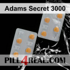 Adams Secret 3000 781