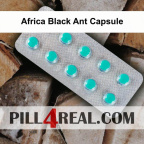 Africa Black Ant Capsule 130
