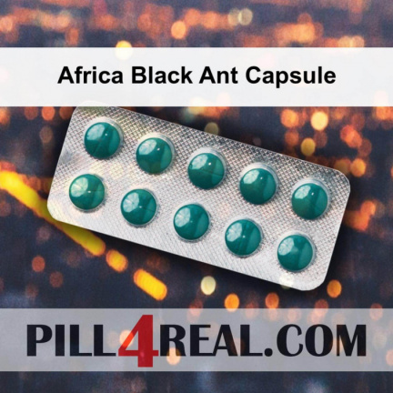 Africa Black Ant Capsule 281
