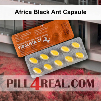 Africa Black Ant Capsule 425
