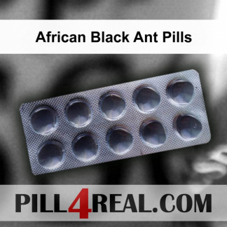African Black Ant Pills 048