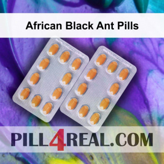 African Black Ant Pills 067