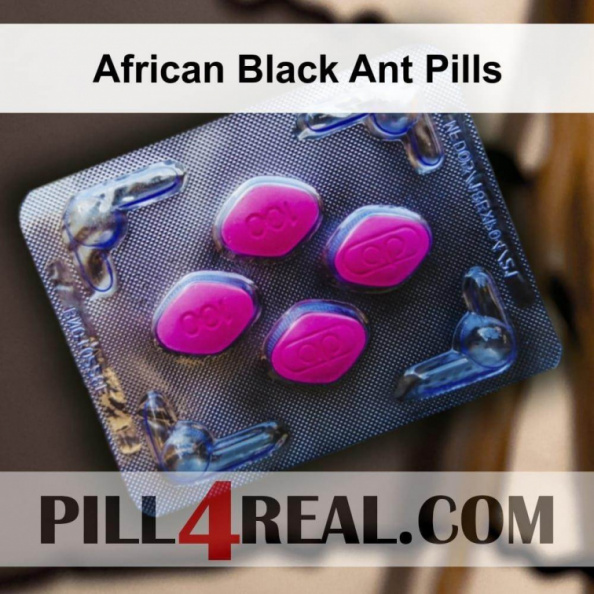 African Black Ant Pills 079