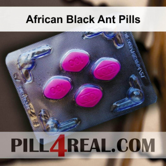 African Black Ant Pills 079