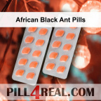 African Black Ant Pills 106