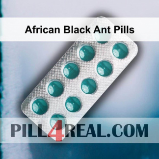 African Black Ant Pills 114