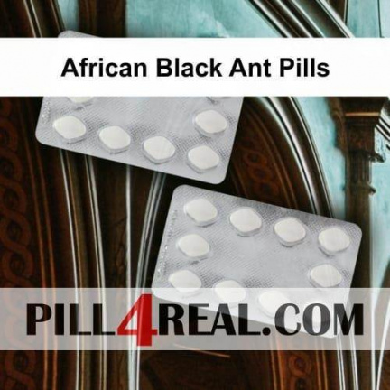 African Black Ant Pills 117