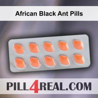 African Black Ant Pills 135