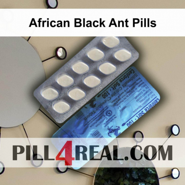 African Black Ant Pills 147