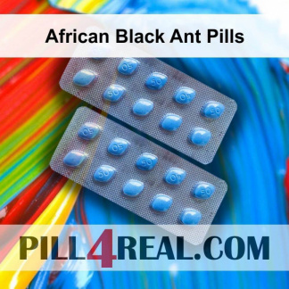 African Black Ant Pills 151