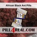 African Black Ant Pills 156