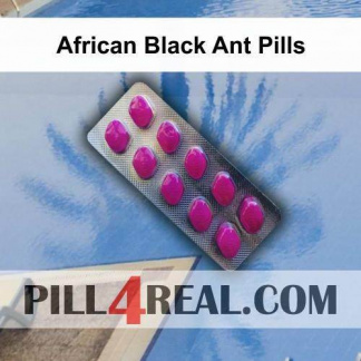 African Black Ant Pills 278