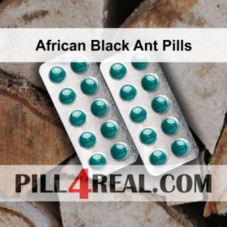 African Black Ant Pills 281