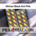African Black Ant Pills 320