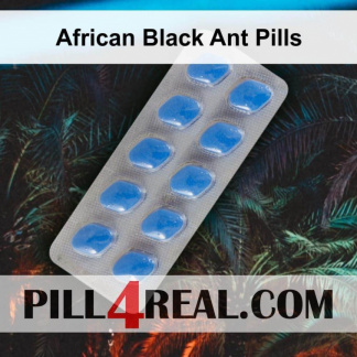 African Black Ant Pills 329